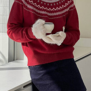 Fair Isle Pattern Loose Crew Neck Color Block Minimalist Sweater